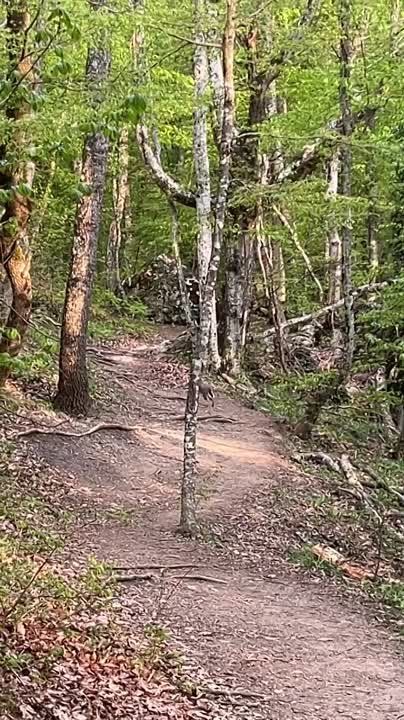 �������� "������" ������� ��������������� �����