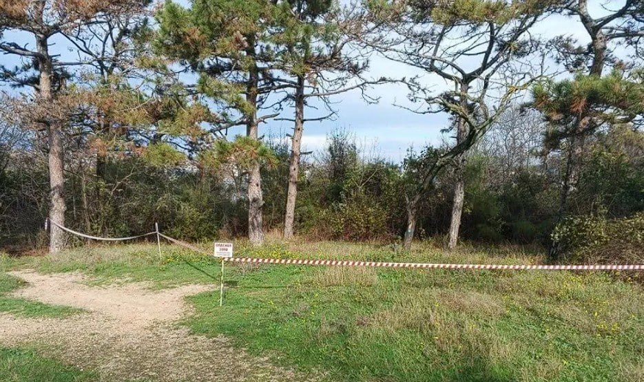 � ��������������� ����������� � ����������� �������� ����� ����� �������� �����