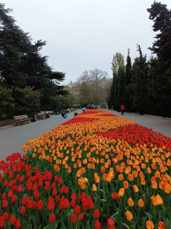 ������� �������� ����. � ����������� ��� �������