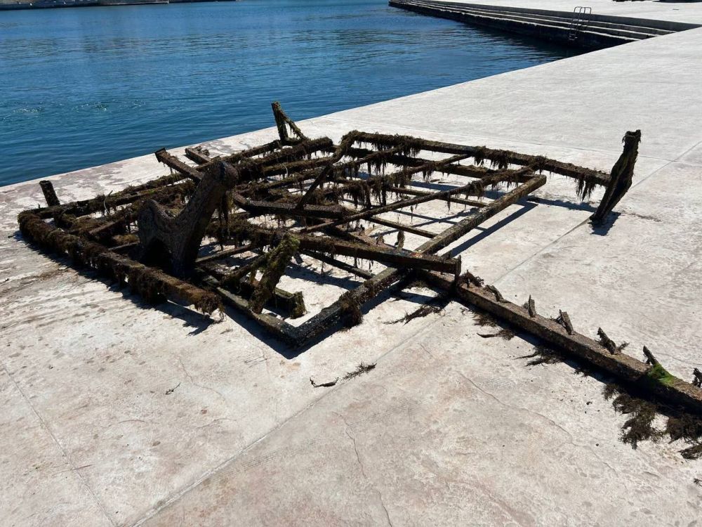 ���������-�������� ������������ ������ ����������� �������� ��� ����� ������������ �� ������� ���������