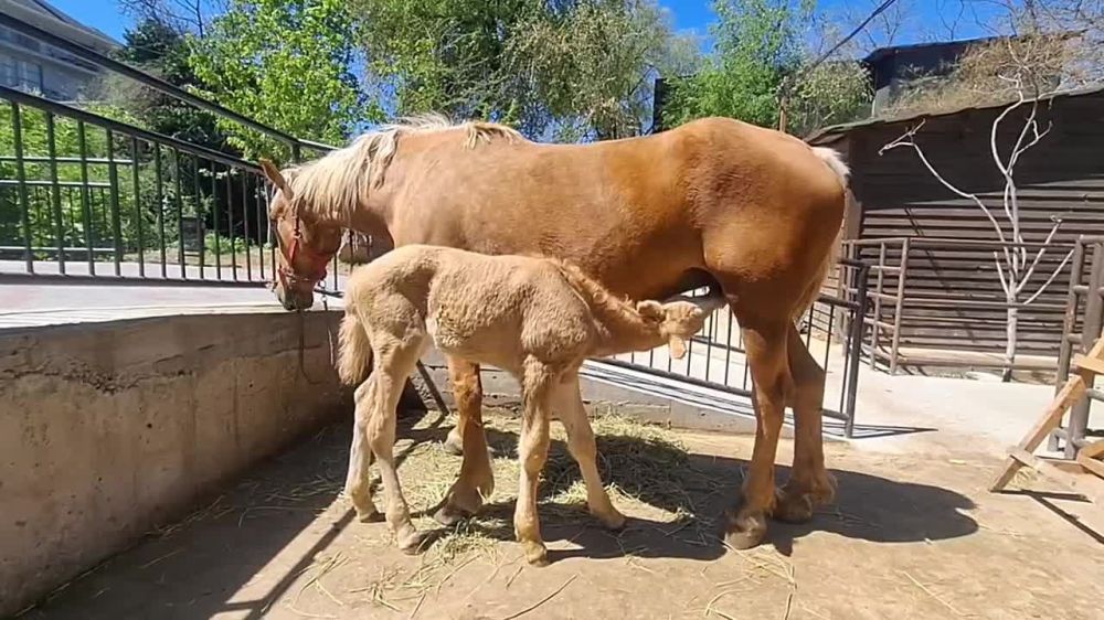 ���������� � ������������� ��������� � �������������� ����� ��������