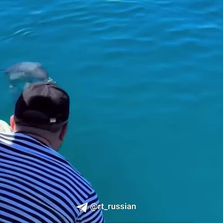 � ��������� ������ �� ������� ����������� ��������