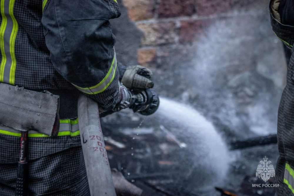 ����� � 4-������ �� ��������� ������ �������