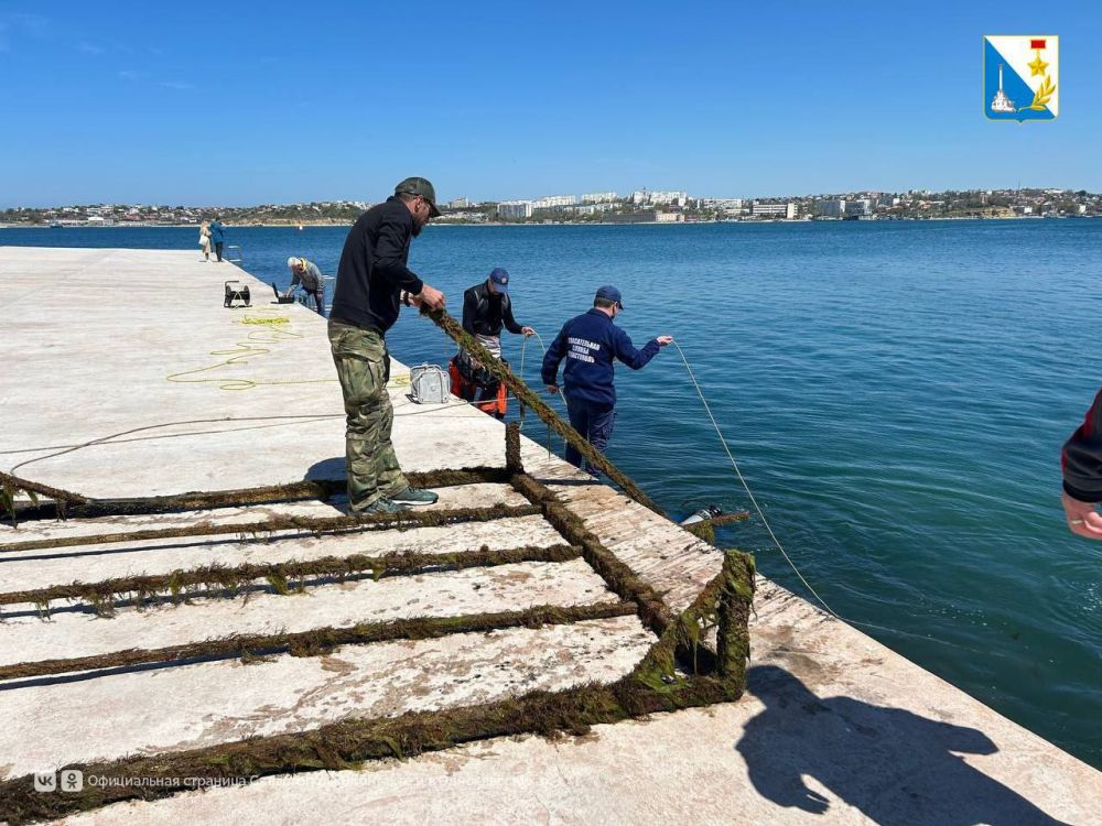 ������� �������� ������ �� ��� ����� �����������