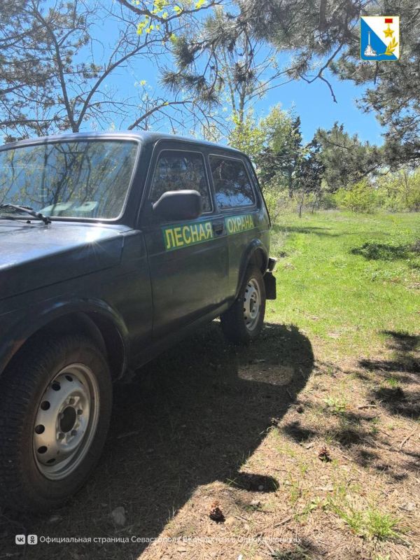 ������� ��������� � ��� � ��� ������ �� ����������� �������� ����� �� ������ �����������