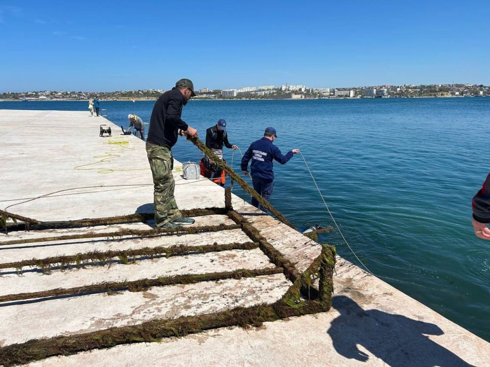 ���������-�������� ������������ ������ ����������� �������� ��� ����� ������������ �� ������� ���������