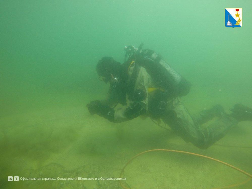 ������� �������� ������ �� ��� ����� �����������