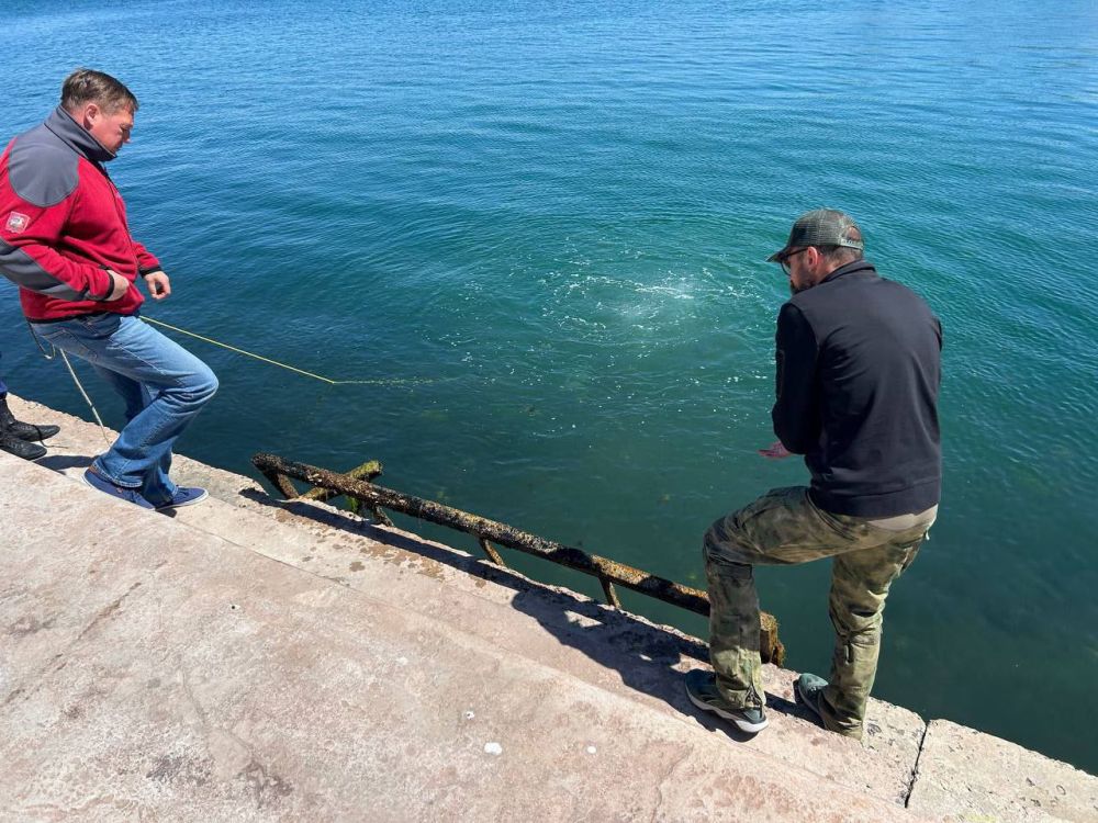 ���������-�������� ������������ ������ ����������� �������� ��� ����� ������������ �� ������� ���������