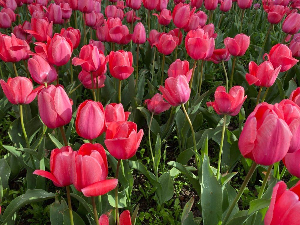 ������� ������ � ����� �� 3 ���