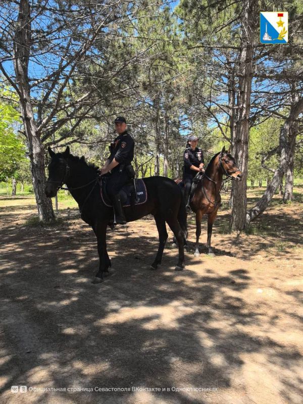 ������� ��������� � ��� � ��� ������ �� ����������� �������� ����� �� ������ �����������