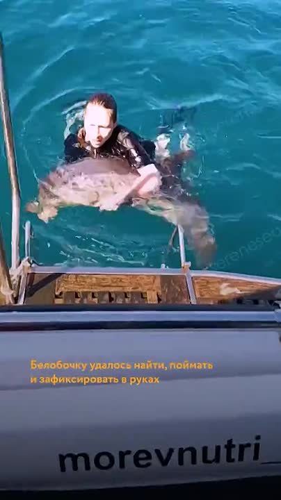 �������� � ����������� �������� ������ � ������� ���������