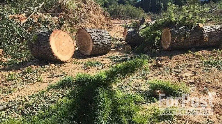 ������� �������� �� ����� ������� ���������� � ����������� �����������