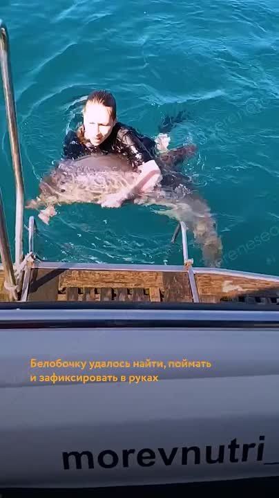 ������ ������������ � ����� ������� � ���������