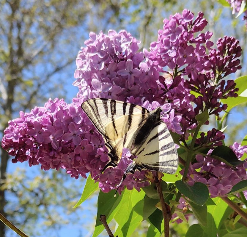 � ������ �����!. � ����������� 4 ��� ��� �������