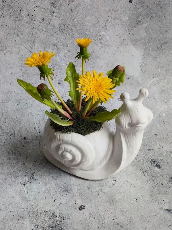 ��� ���������� ���������� �������? ����������