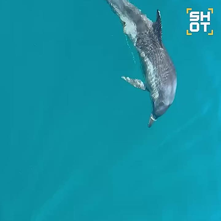 �������� �������� � �����: �������� ������ ������ ��������, ������� ��������� � ����� � ��� ���������