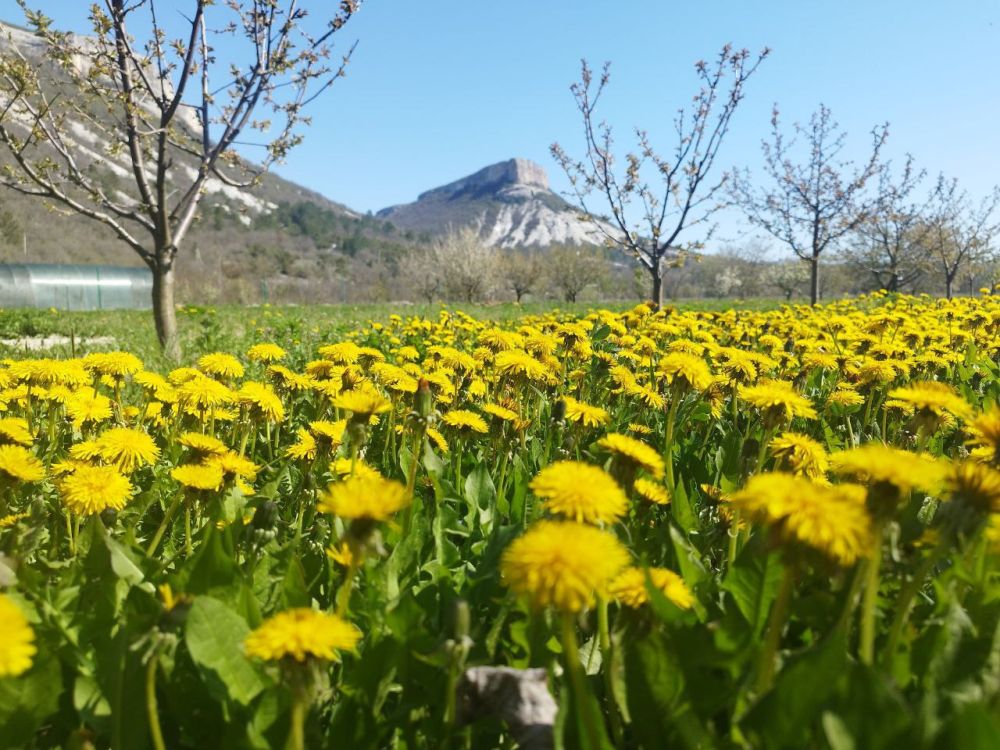 ������� ������ � ����� �� 4 ���