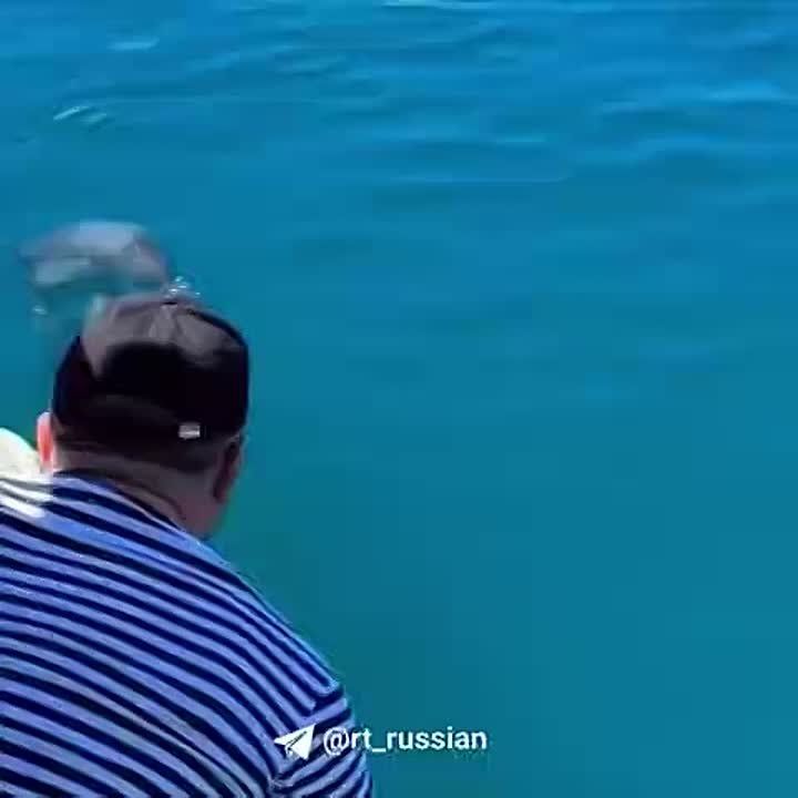 �������� � ����������� �������� ������ � ������� ���������, ���������� RT ��������