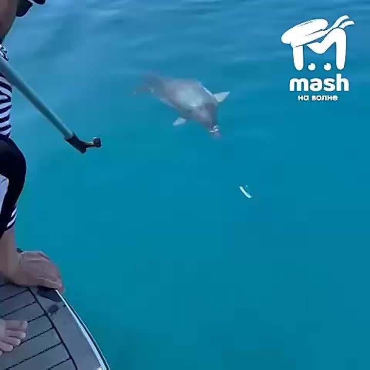 ���������� ������� ���������� ��������� ��������, �������� ����� ������ � ������� ���������