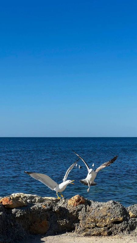 � ����������� �� +19��. � ������� ��� ��������� ���������� ����������, ��� �������