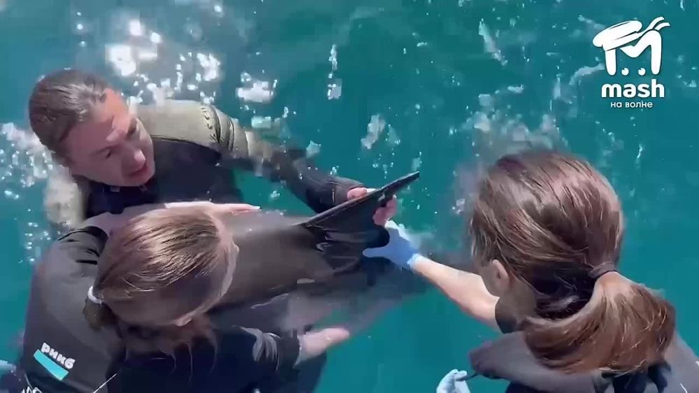 �������� ���������� � ��������, ��� ������� ��������� ������������� ��������