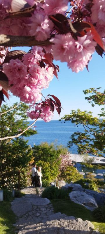 ������ ����, �����������!. ������� ��������� ������� ���������� ����������