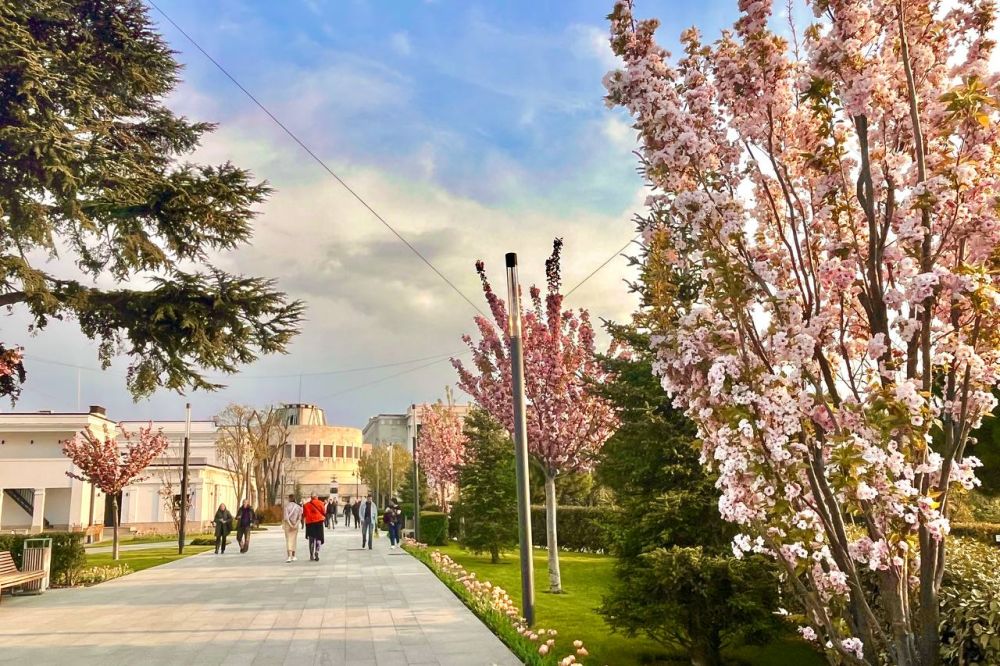 ���� ����� � ����������� ������� �� ����!