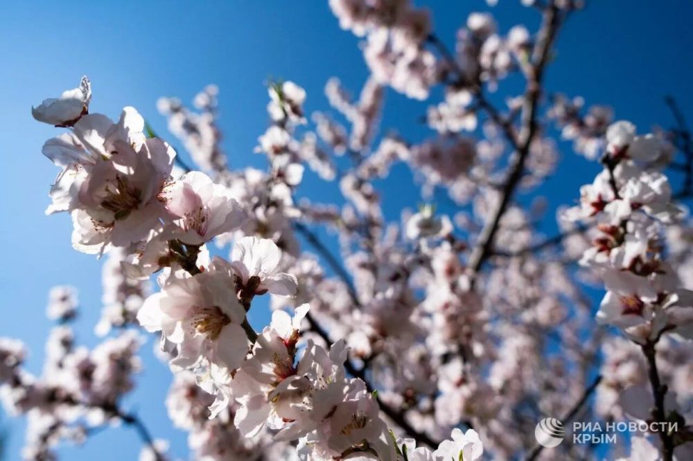 ������� ������ � ����� �� �������