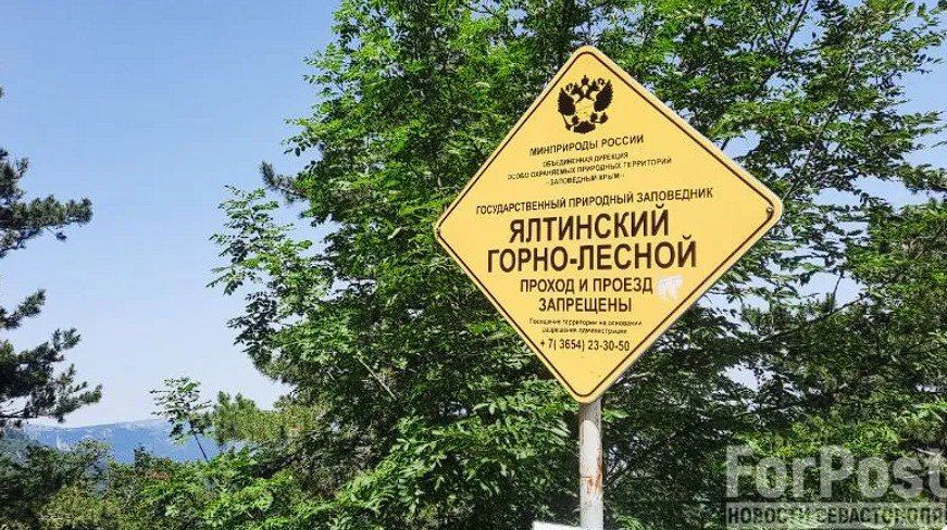 ���� � �������� ����������� ���� ������ �� 50 ������