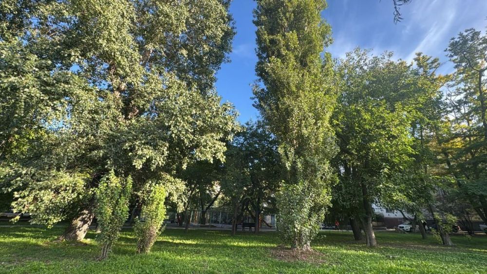 ������ � ����� ����������� ��� ���������!