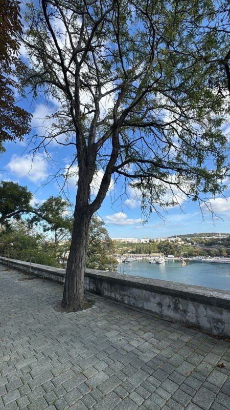 ������ � ����� ����������� ��� ���������!