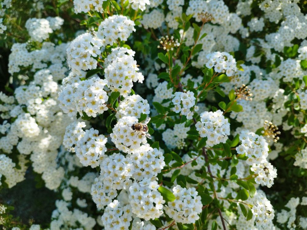 ������� ������ � ����� �� 6 ���