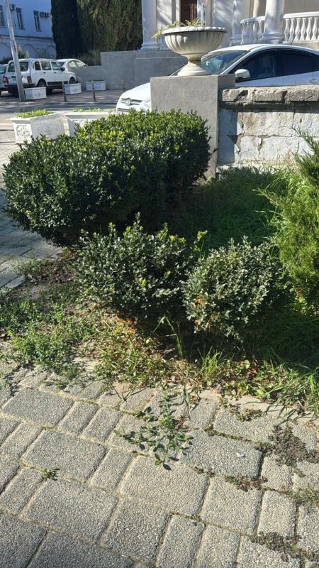 ������ � ����� ����������� ��� ���������!