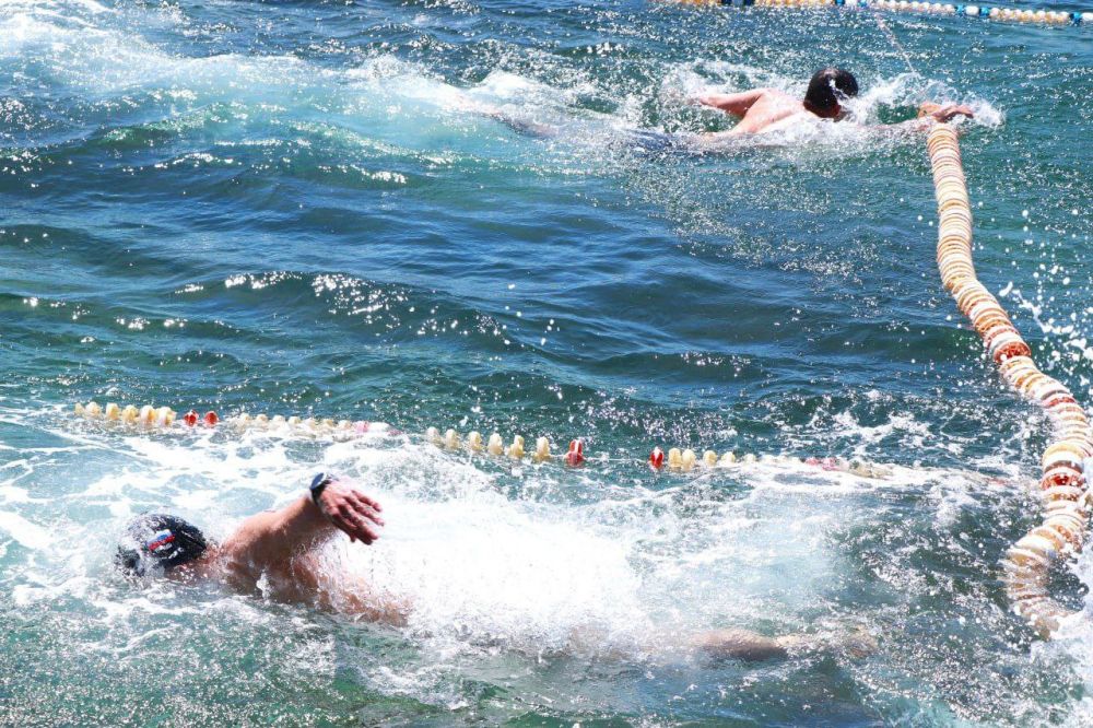 ��������� ����������� ���������� ������������ �� ������������� "������ ������"