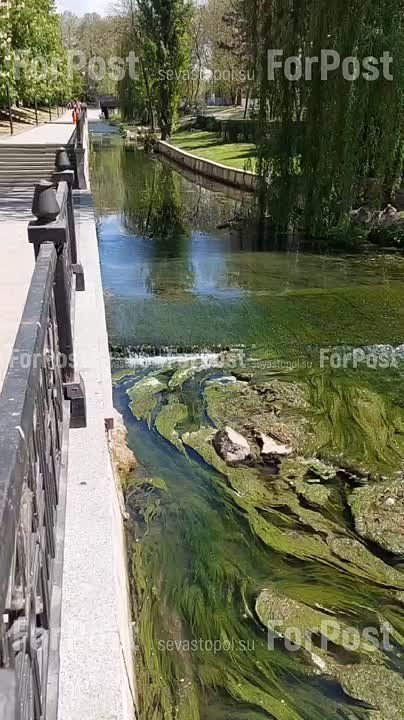 ������ � ������ ����������� ����������� � ������������ �������� � ����� ������� �������� ������� �� ��� ���� �� ����������