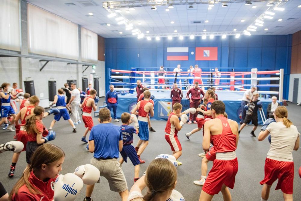 ������ ����������: �������, � ����� ������������-��������������� ��������� � ����� ��� ����� ��������, ��������������� �������� ������� ������� ������-����� ��� ������������� ���������� ���� � ���������� ������ ���������� �...