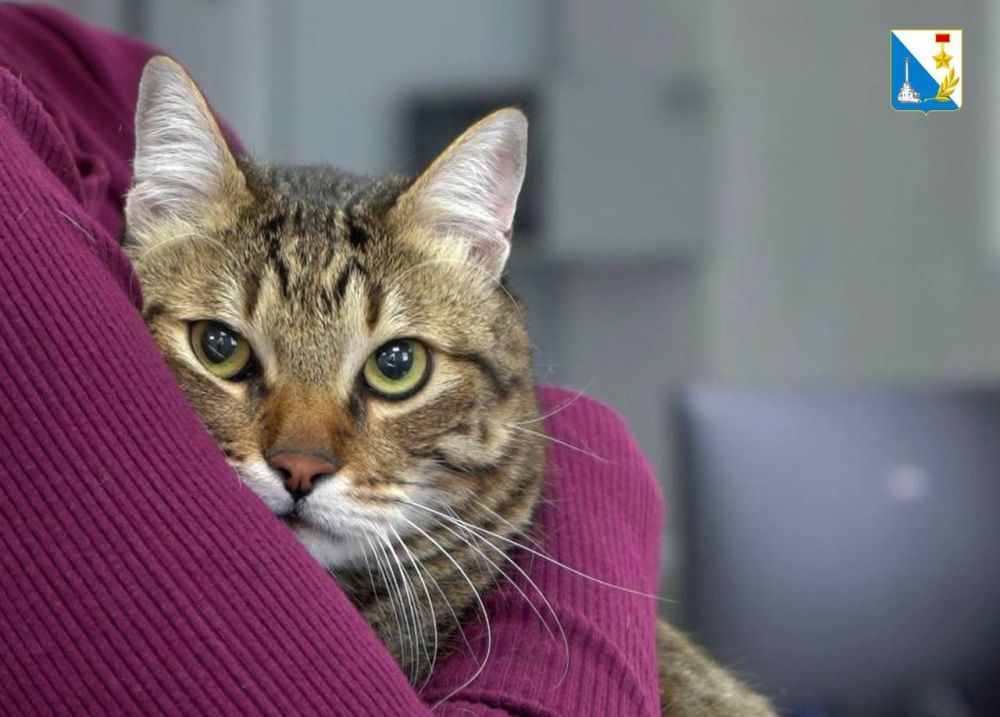 ������������� ����� ��������� ���������� �������� ��������