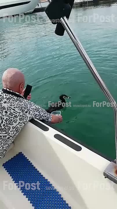      ,  