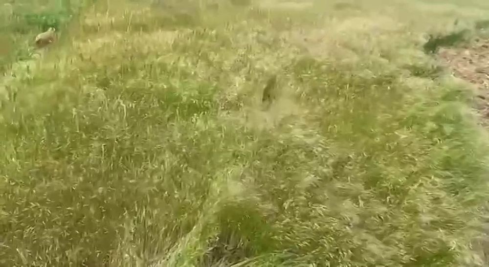 ������ ����: ��������� ������� ������� ��������� � ������������ ����� ��������