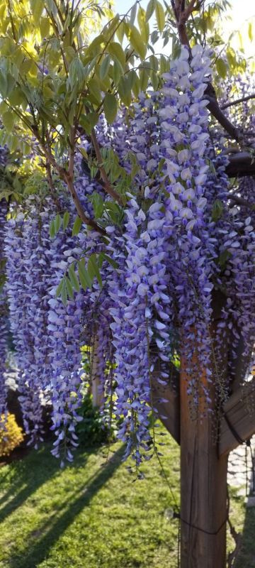 ������ ����, �����������!