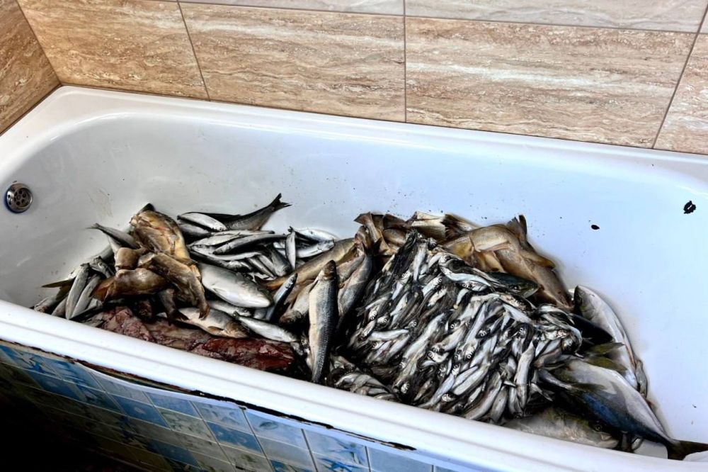 � ����������� ��������������� ����������� ������� ��������� � �����������