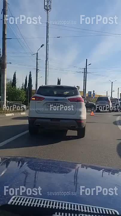 ��� �� ������ ����������-�����������