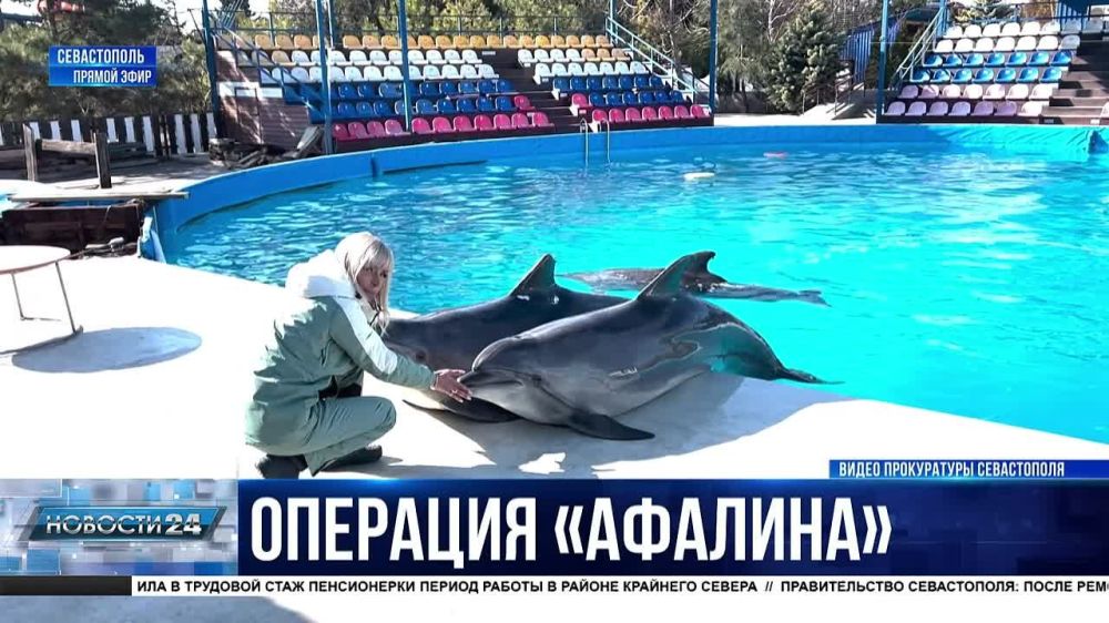 ���������� ���������� �� ��������, ������������ ������������� ����� � ������ ������ ��� ����������