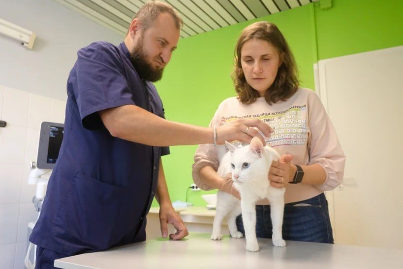 ��������������� ������������ ��������� �������� �������� ��������