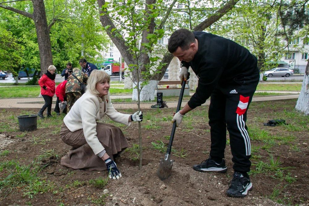 ������� �����: ������ ������� � �������� ������������ � ���������