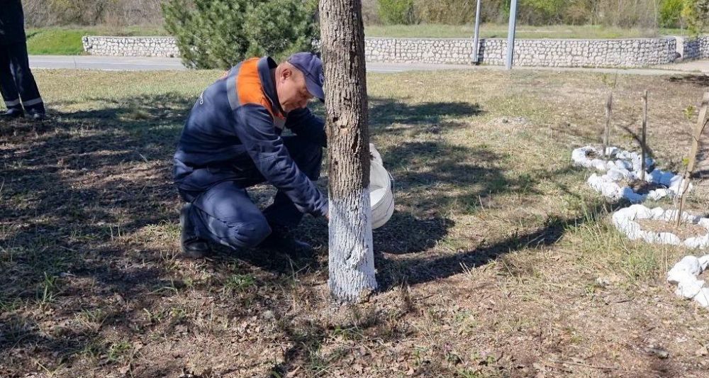 � ���������� ������������ ��� ������ ���������� �������������� ��������� ��������������� ���������� ��������� 79-� ��������� ������� ���������� �������