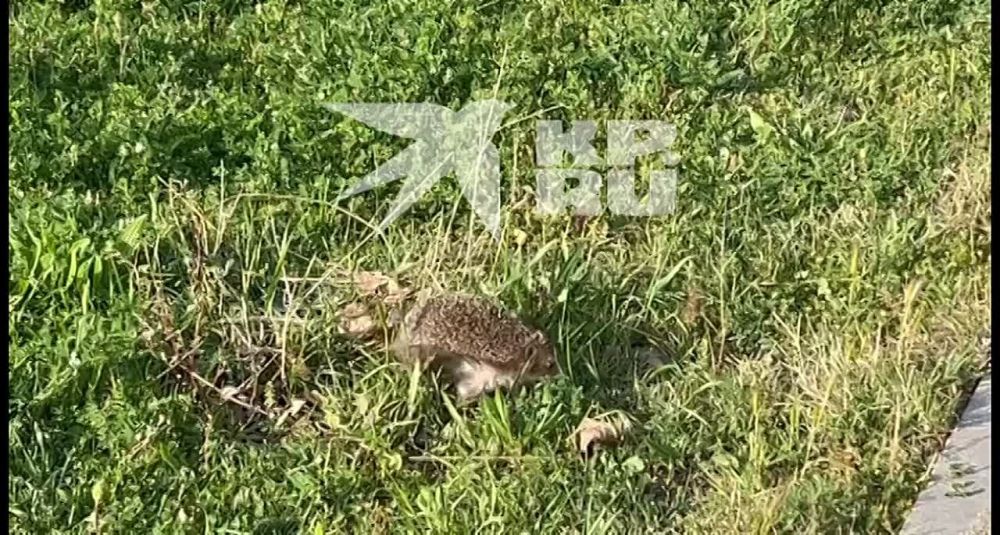 ����� �� ������� ��� ������ �� �������!