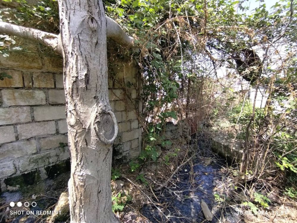 ��������������� ����� ��� �� ���������� ������ �������� �� 723 ����� ������