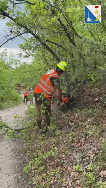 � ����������� ������������ ����� �����