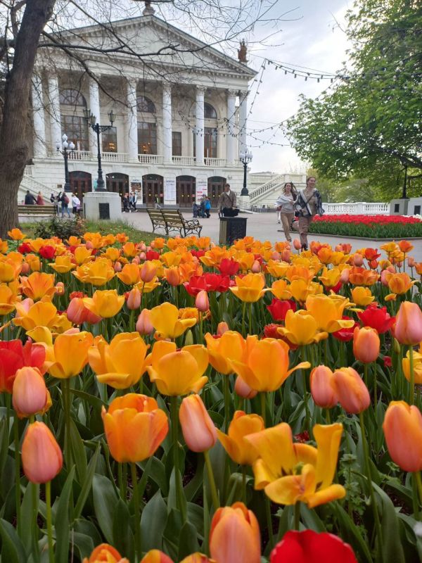 ���� �����!. � ����������� 7 ��� �����, ���� ��������� �����